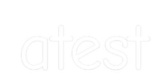 Custom Neon: atest