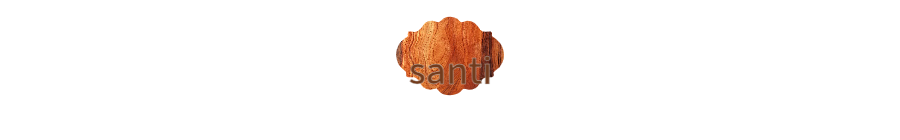 Custom Sign: santi